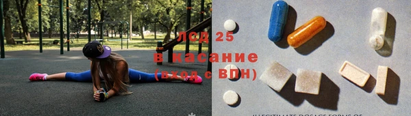 гашик Тайга