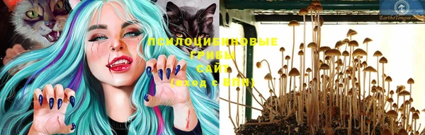 молекула духа Баксан