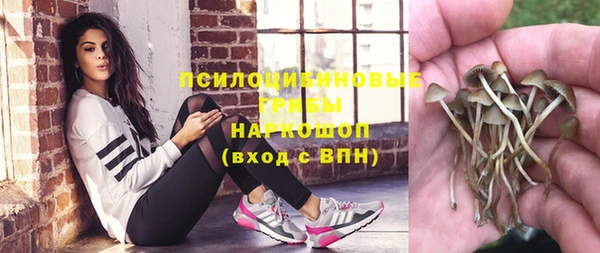 дживик Белокуриха