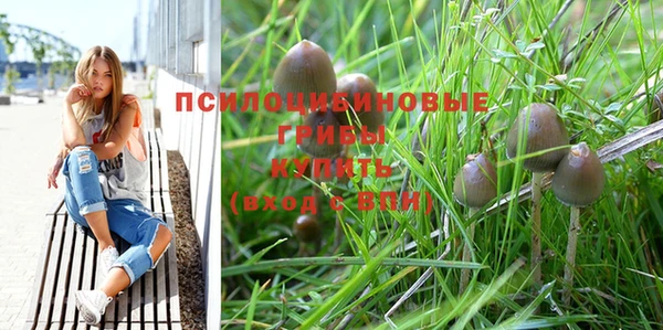 дурь Сясьстрой