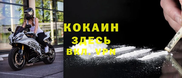 дживик Белокуриха