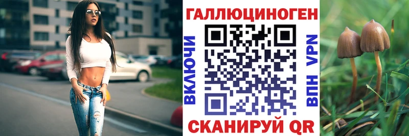 Псилоцибиновые грибы мухоморы магазин Рудня